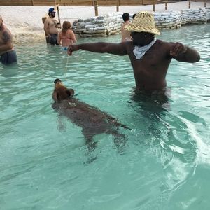 Meet your Posher, Ronnie